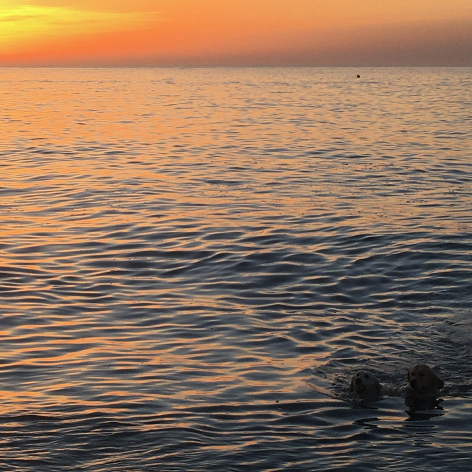 yrittäminen espanjassa